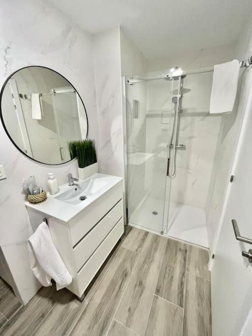 Apartment Vive V Zaragoza